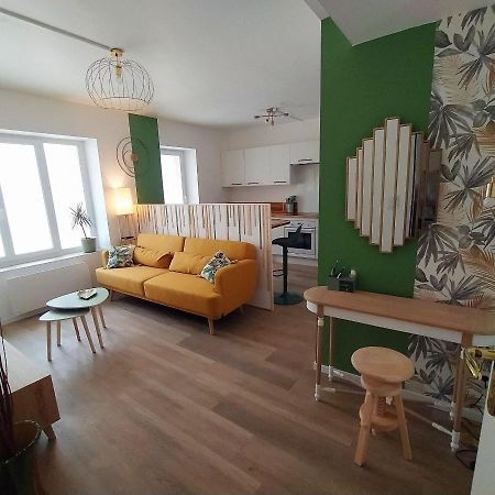 Magnifique T3 Centre Ville Avec Wifi Rdc Limoux Ngoại thất bức ảnh