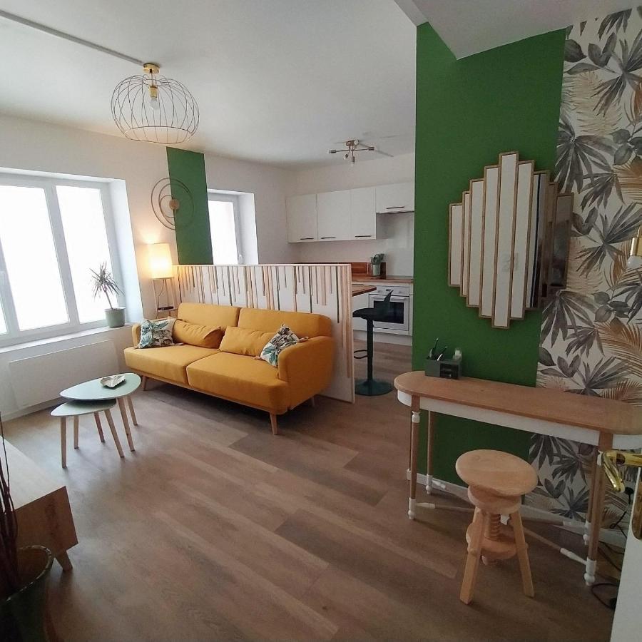Magnifique T3 Centre Ville Avec Wifi Rdc Limoux Ngoại thất bức ảnh