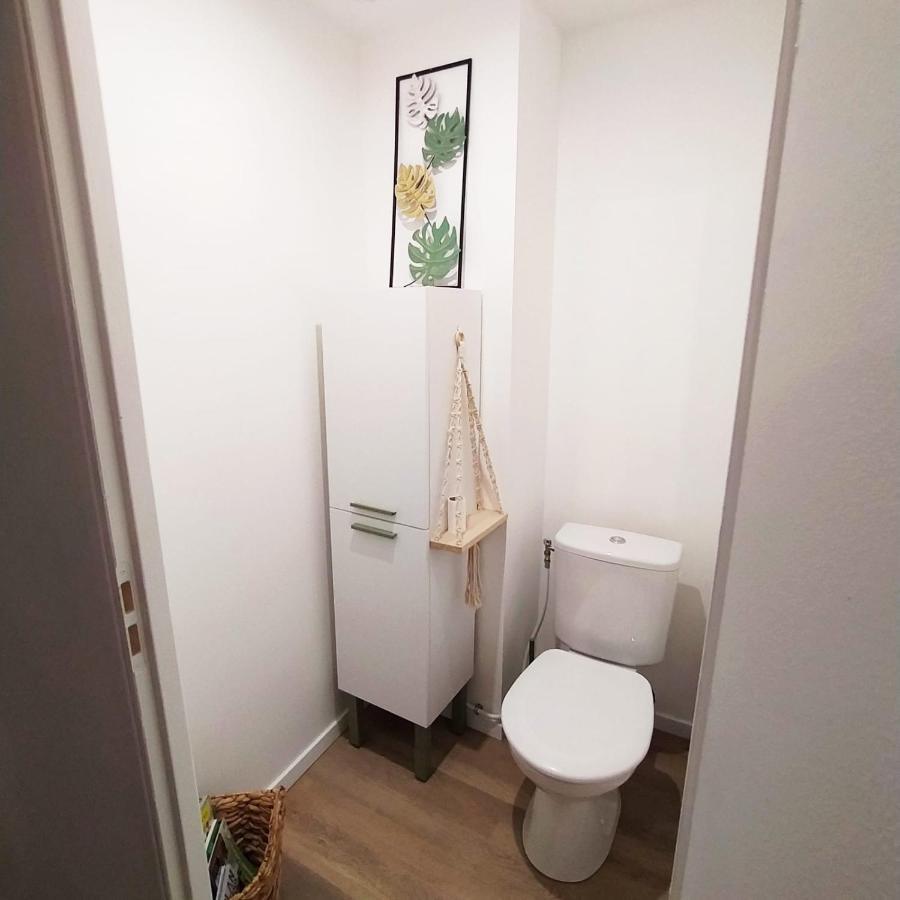 Magnifique T3 Centre Ville Avec Wifi Rdc Limoux Ngoại thất bức ảnh